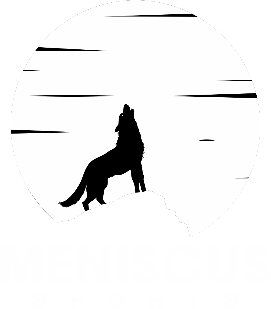 MENISCUS LOGO